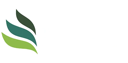 Taxvisors